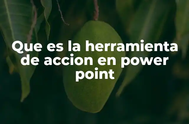 Que es la Herramienta de Accion en Power Point