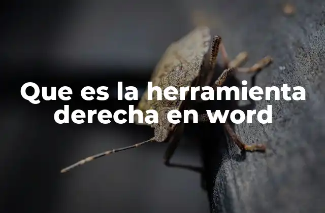 Que es la Herramienta Derecha en Word