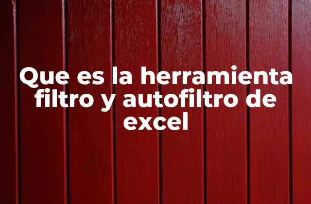 Que es la Herramienta Filtro y Autofiltro de Excel