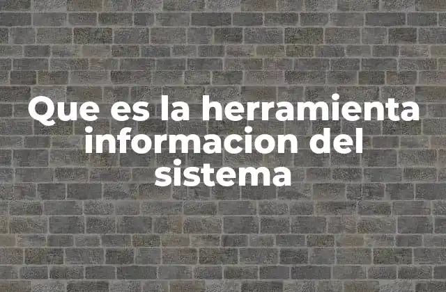 Cómo la información del sistema mejora la gestión tecnológica