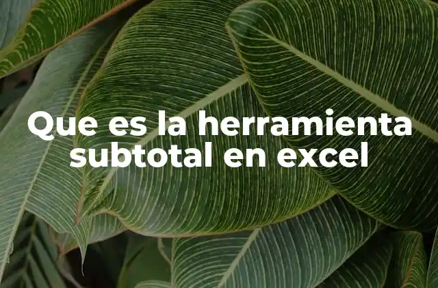 Que es la Herramienta Subtotal en Excel 2 Cómo funciona la herramienta subtotal en Excel