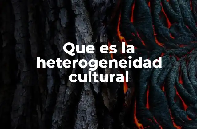 Que es la Heterogeneidad Cultural