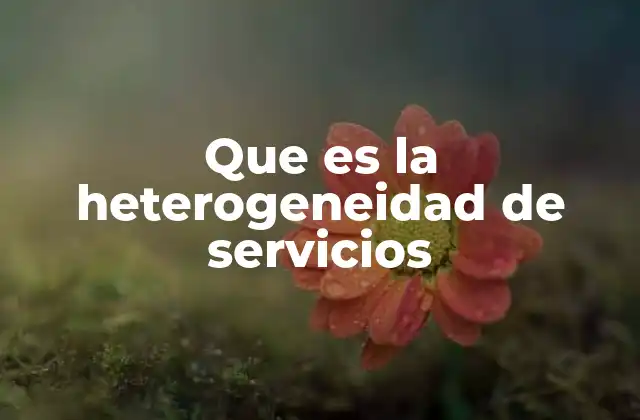 Que es la Heterogeneidad de Servicios