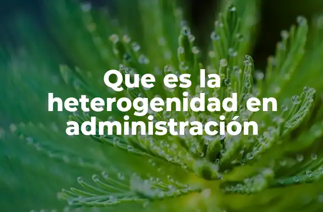 Que es la Heterogenidad en Administración