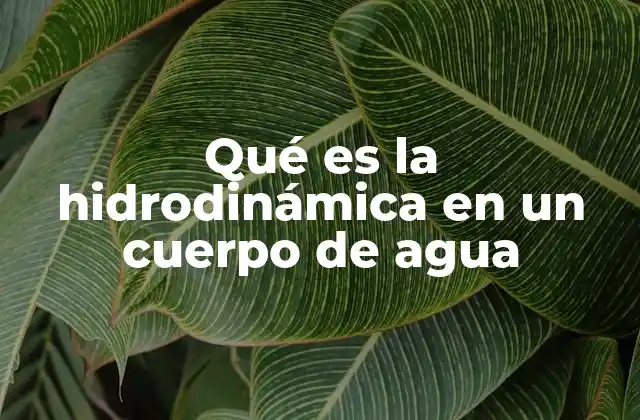 Qué es la Hidrodinámica en un Cuerpo de Agua