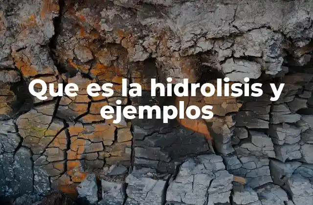 Que es la Hidrolisis y Ejemplos