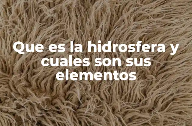Que es la Hidrosfera y Cuales Son Sus Elementos