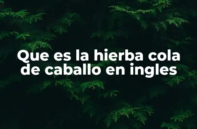 Que es la Hierba Cola de Caballo en Ingles