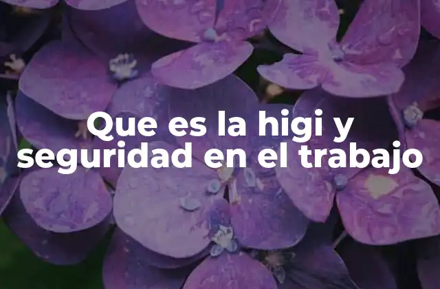 Que es la Higi y Seguridad en el Trabajo