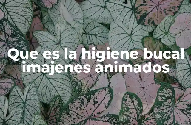 La importancia de enseñar salud dental a través de medios visuales