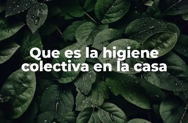 Que es la Higiene Colectiva en la Casa