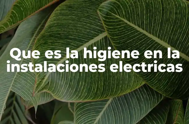 Que es la Higiene en la Instalaciones Electricas