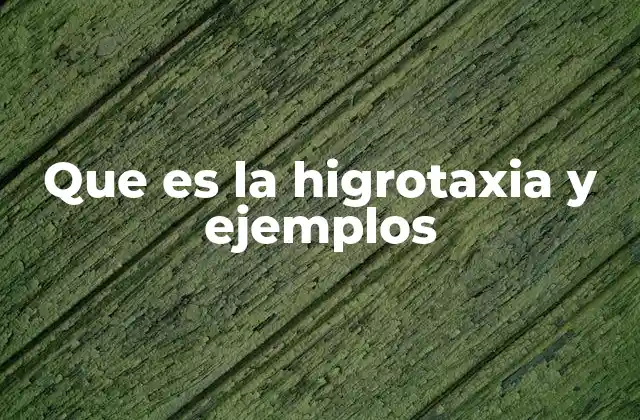Que es la Higrotaxia y Ejemplos