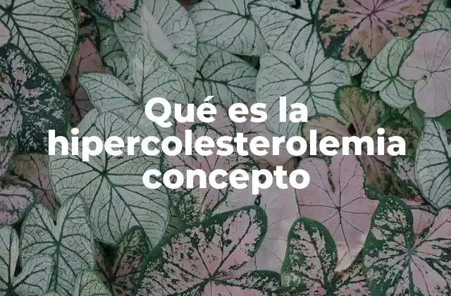 La relación entre el colesterol y la salud cardiovascular