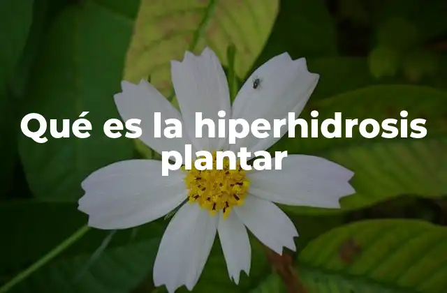 Qué es la Hiperhidrosis Plantar 2 Cómo afecta la hiperhidrosis a la vida diaria