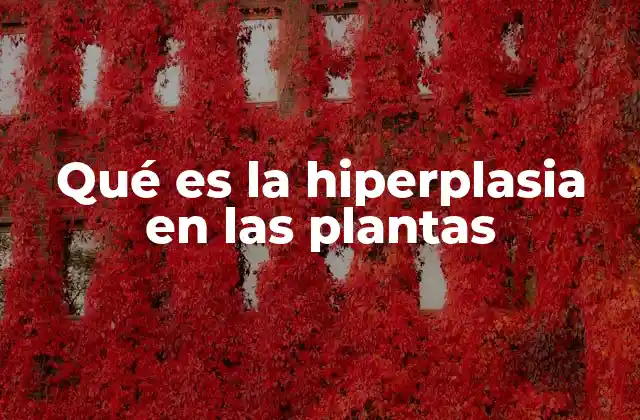 Qué es la Hiperplasia en las Plantas