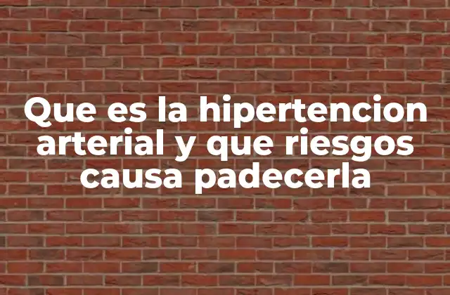 Que es la Hipertencion Arterial y que Riesgos Causa Padecerla