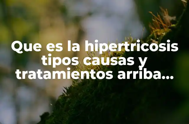Que es la Hipertricosis Tipos Causas y Tratamientos Arriba Salud