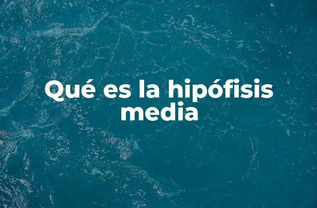 Qué es la Hipófisis Media