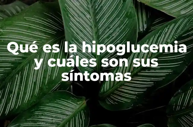 Qué es la Hipoglucemia y Cuáles Son Sus Síntomas