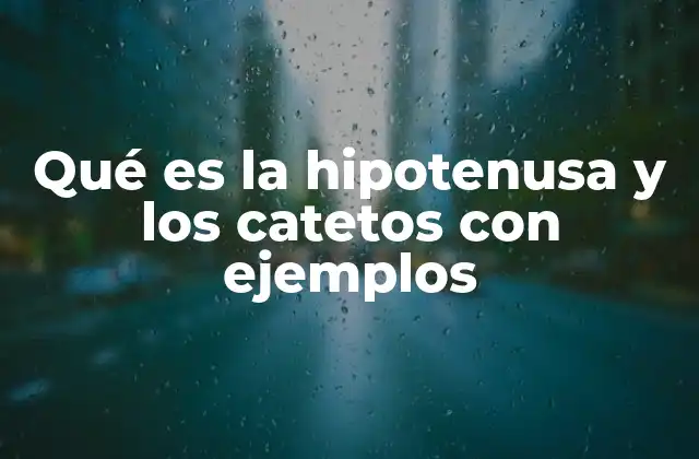Qué es la Hipotenusa y los Catetos con Ejemplos