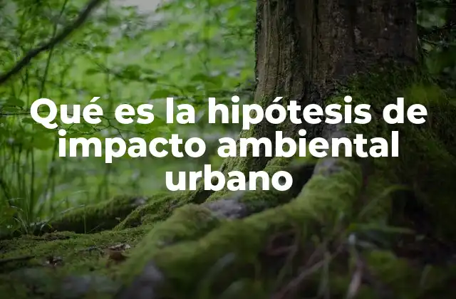 Qué es la Hipótesis de Impacto Ambiental Urbano 2 La relación entre el urbanismo y el medio ambiente
