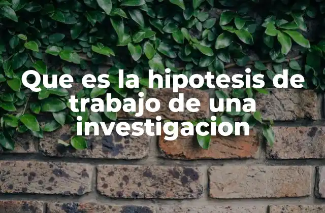 Que es la Hipotesis de Trabajo de una Investigacion