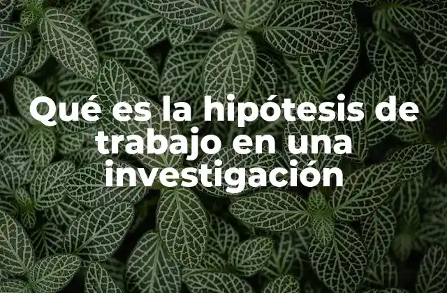 Qué es la Hipótesis de Trabajo en una Investigación