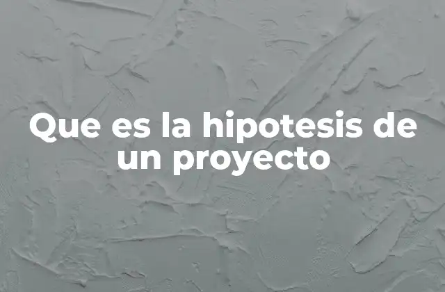 Que es la Hipotesis de un Proyecto