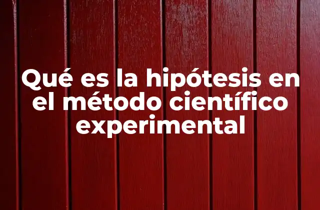Qué es la Hipótesis en el Método Científico Experimental
