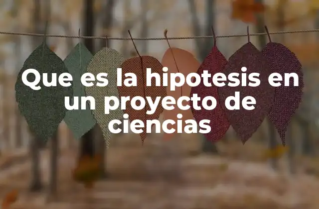 Que es la Hipotesis en un Proyecto de Ciencias