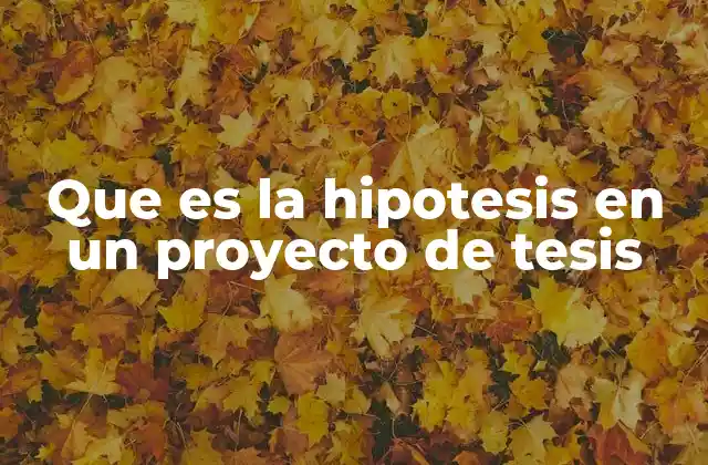 Que es la Hipotesis en un Proyecto de Tesis