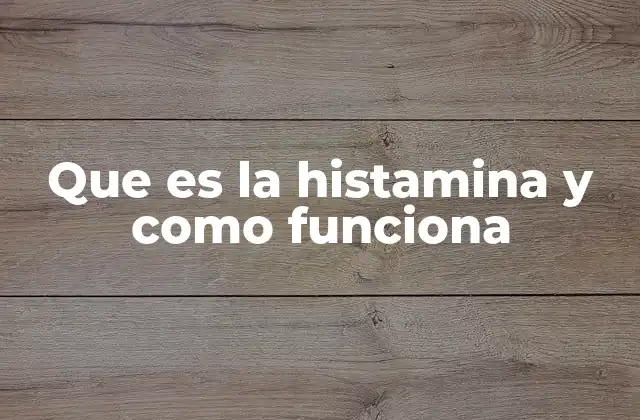Que es la Histamina y como Funciona 2 El papel de la histamina en el sistema inmunológico
