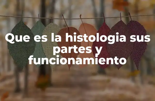 Que es la Histologia Sus Partes y Funcionamiento