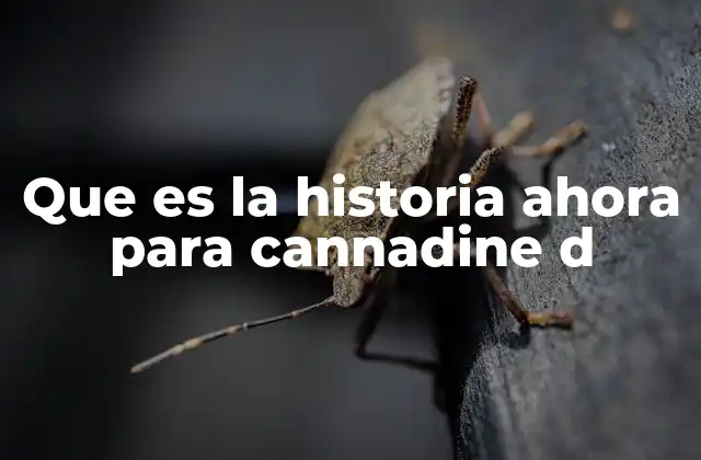 Que es la Historia Ahora para Cannadine D