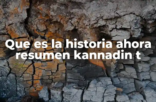 Que es la Historia Ahora Resumen Kannadin T