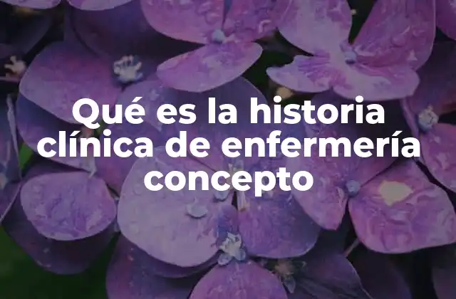Qué es la Historia Clínica de Enfermería Concepto