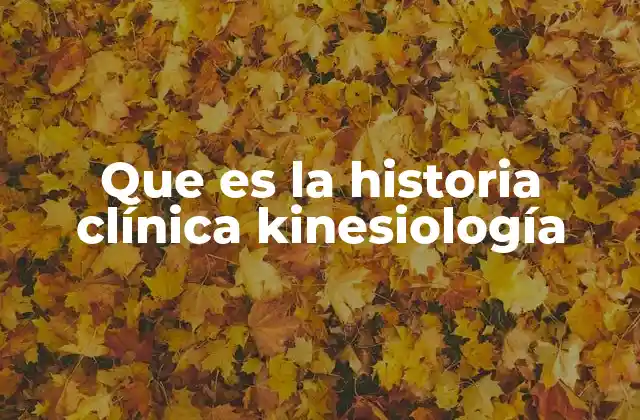 Que es la Historia Clínica Kinesiología