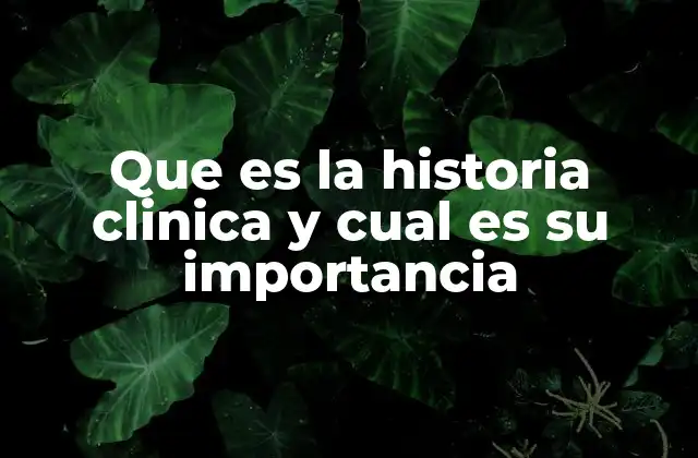 Que es la Historia Clinica y Cual es Su Importancia