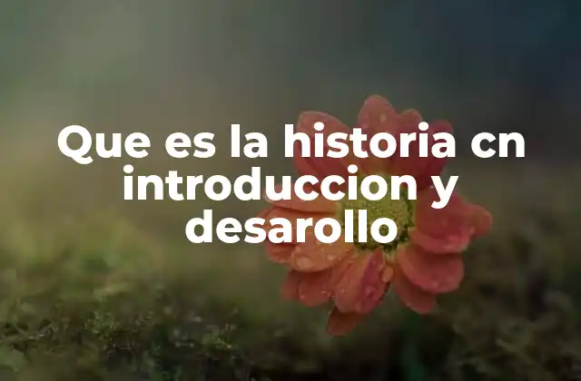 Que es la Historia Cn Introduccion y Desarollo
