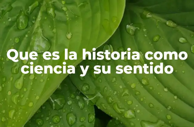 Que es la Historia como Ciencia y Su Sentido
