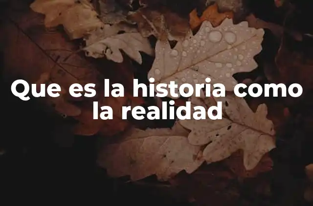 Que es la Historia como la Realidad