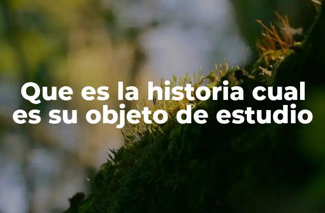 Que es la Historia Cual es Su Objeto de Estudio