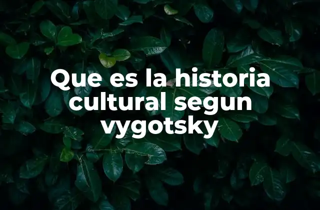 Que es la Historia Cultural Segun Vygotsky