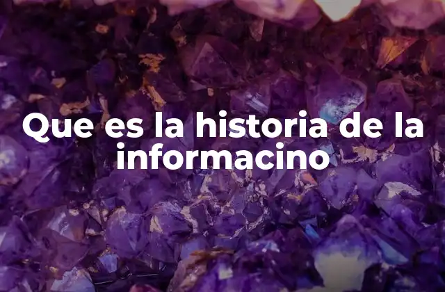 Que es la Historia de la Informacino