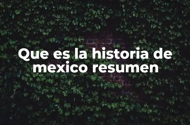 Que es la Historia de Mexico Resumen