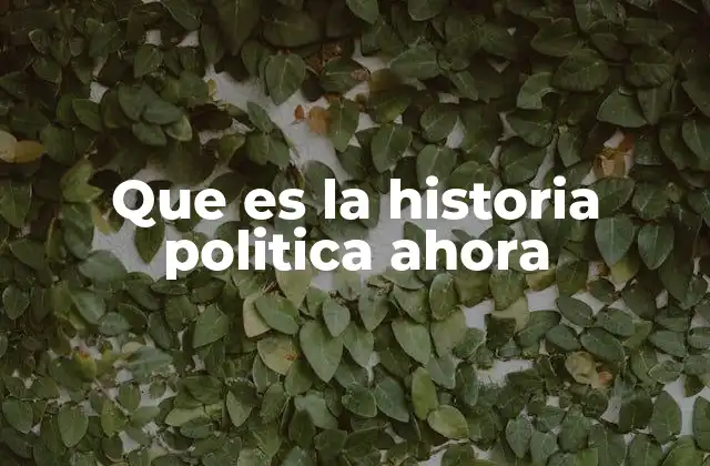 Que es la Historia Politica Ahora