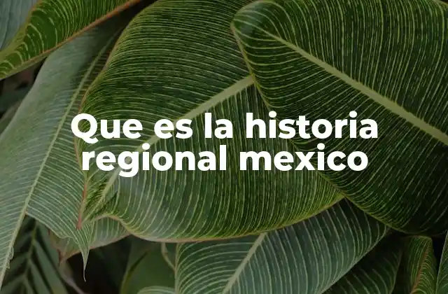 Que es la Historia Regional Mexico