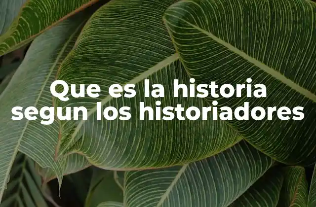 Que es la Historia Segun los Historiadores