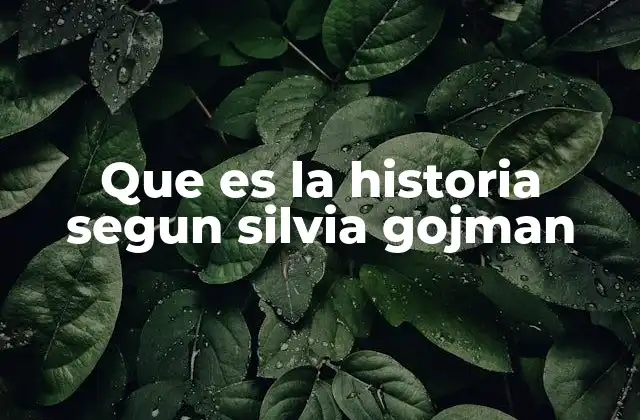 Que es la Historia Segun Silvia Gojman